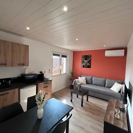 Apartment Proche Zenith 